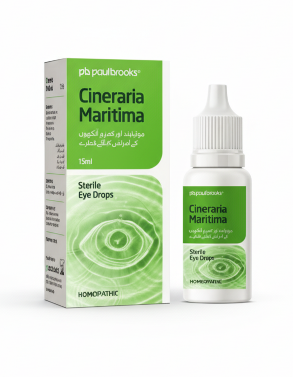 Cineraria Martima Eye Drops on a white plain background