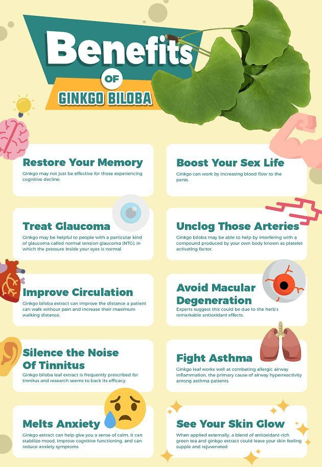 Infographic detailing the benefits of Ginkgo Biloba with a colorful design.